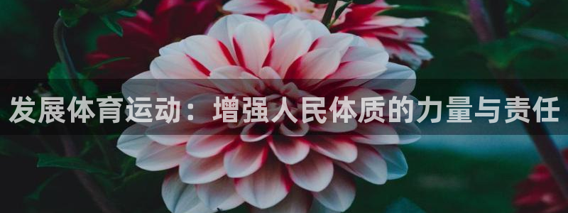 一竞技官方正版app集团官网首页