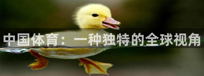 一竞技官网下载招商电话地址