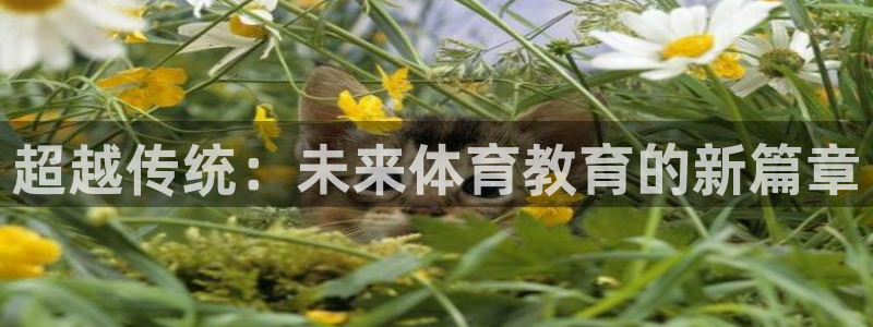 一竞技官方正版app娱乐40996