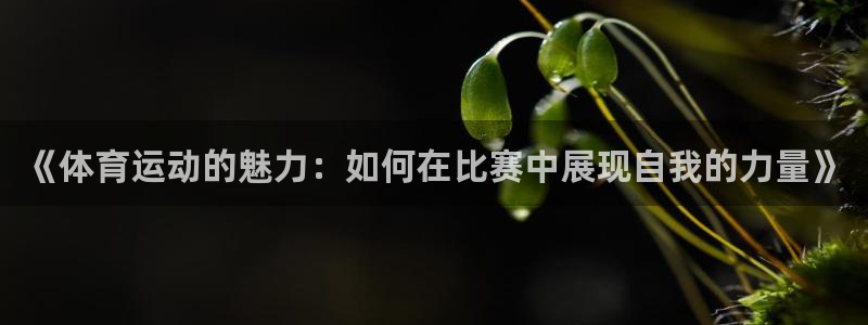 一竞技app官方网站