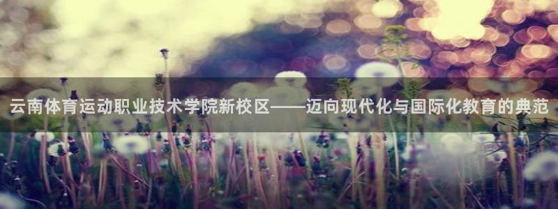 一竞技官网测速入口登录