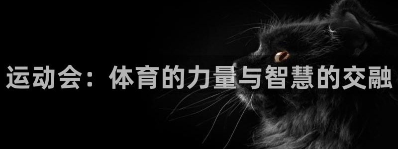 一竞技官方网站入口下载：运动会：体育