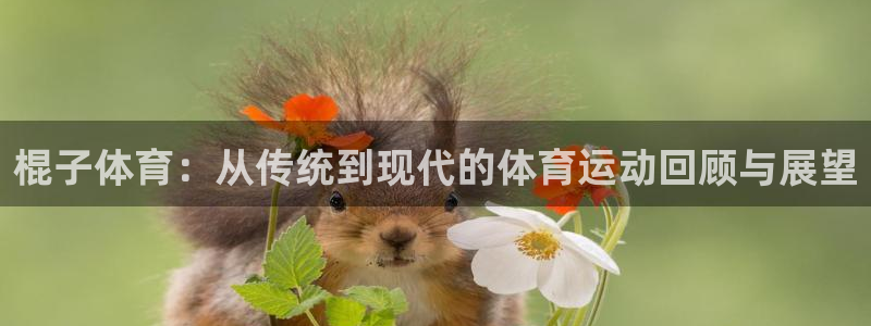 一竞技官网注册流程：棍子体育：从传统