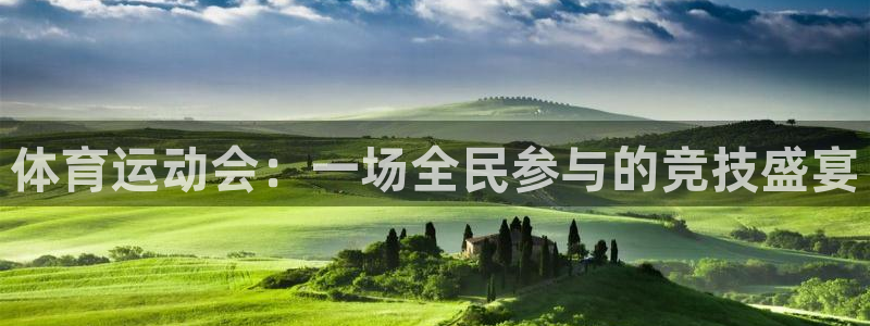  一竞技客服：体育运动会：一场全民参与的竞技盛宴
