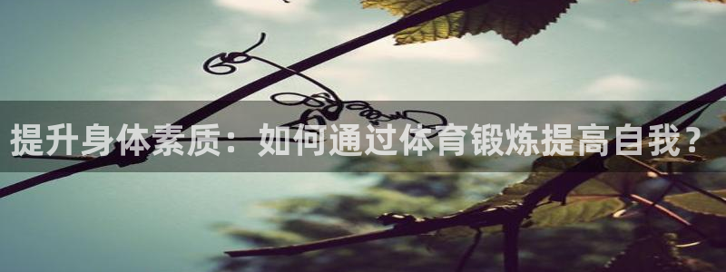 一竞技平台是杂牌吗：提升身体素质：如