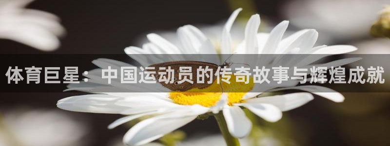 一竞技测速站：体育巨星：中国运动员的传奇故事与辉煌成就