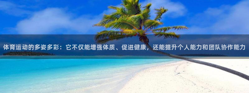 一竞技测速站网址：体育运动的多姿多彩