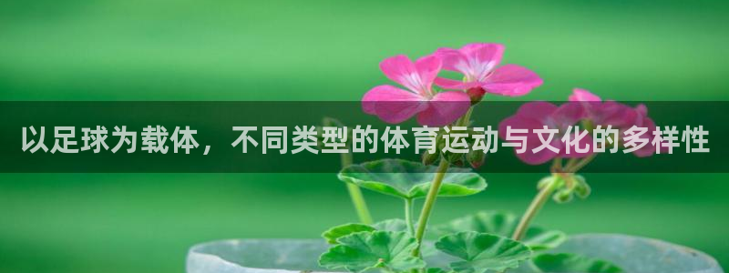 一竞技网页版入口：以足球为载体，不同类型的体育运动与文化的多