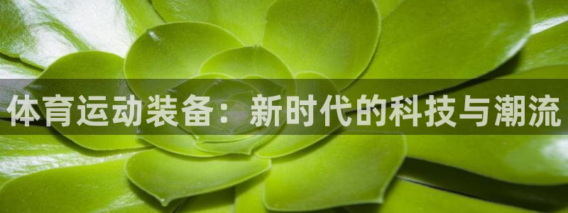 一竞技官网注册流程：体育运动装备：新时代的科技与潮流
