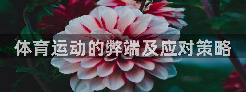 一竞技平台：体育运动的弊端及应对策略
