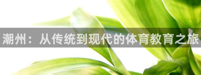 一竞技官网登录：潮州：从传统到现代的体育教育之旅