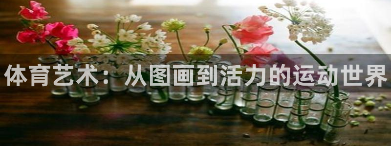 一竞技官网下载招商电话号码：体育艺术：从图画到活力的