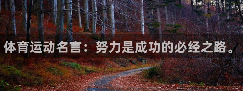 海南一竞技官网下载发展怎么样：体育运动名言：努力是成
