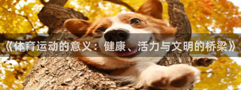 一竞技官网下载开户：《体育运动的意义：健康、活力与文