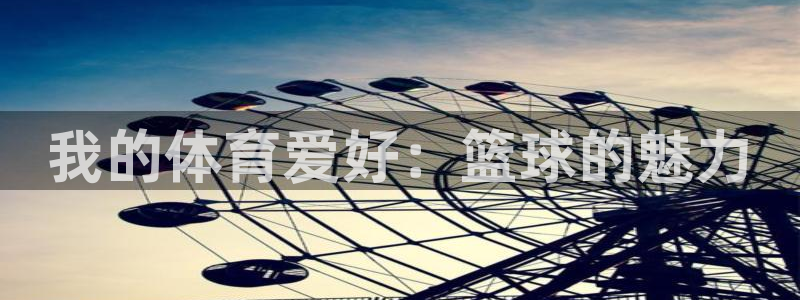 一竞技官网下载:我的体育爱好:篮球的魅力