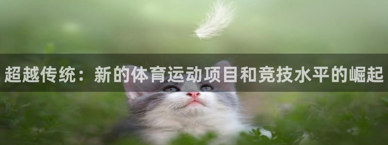 一竞技官网下载招商电话地址查询：超越传统：新的体育运