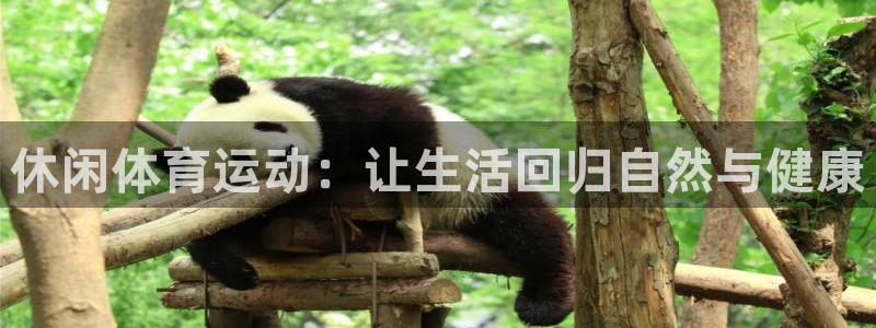 一竞技官网下载是干嘛的公司：休闲体育运动：让生活回归