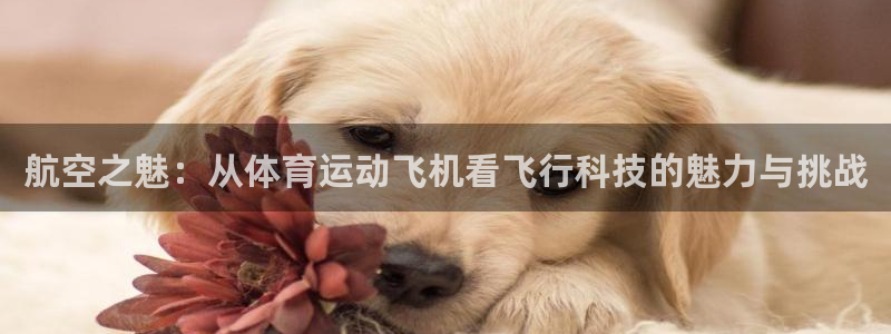 一竞技官方正版app官方：航空之魅：从体育运动飞机看