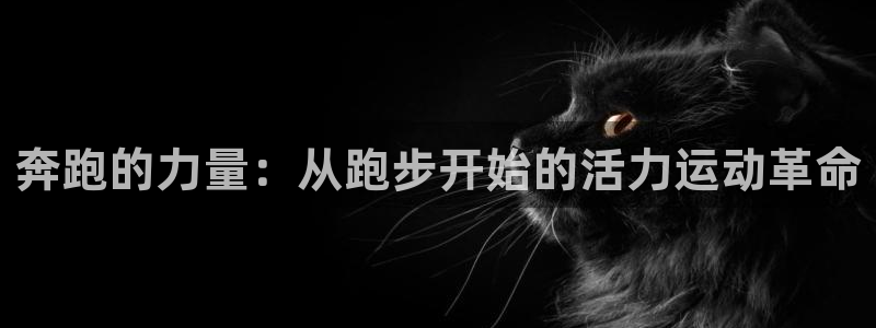 一竞技官网下载平台是正规平台吗安全吗：奔跑的力量：从