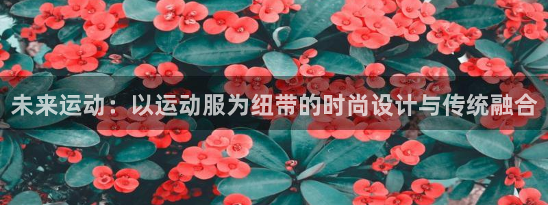 一竞技官方正版app集团简介:未来运动:以运动服为纽带的时尚