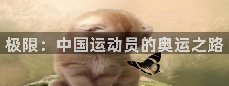 一竞技官网下载平台是正规平台吗知乎:极限:中国运动员的奥运之