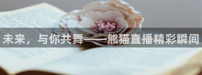 乐球比赛直播在线观看：未来，与你共舞——熊猫直播精彩瞬间