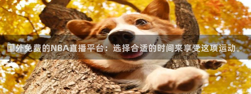 乐球直播无插件高清cba：国外免费的NBA直播平台：选择合适的时间来享受这项运动。
