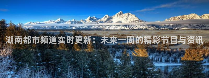 乐球直播免费观看高清版软件特色：湖南都市频道实时更新：未来一周的精彩节目与资讯