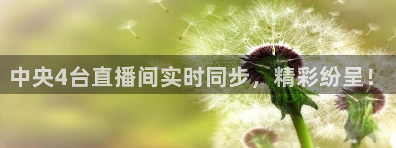 乐球直播足球免费：中央4台直播间实时同步，精彩纷呈！